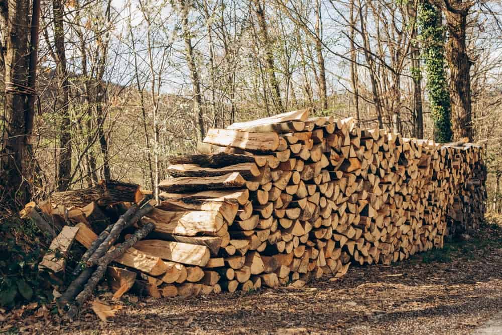 5 Reasons to Never Stack Firewood Next to Your House