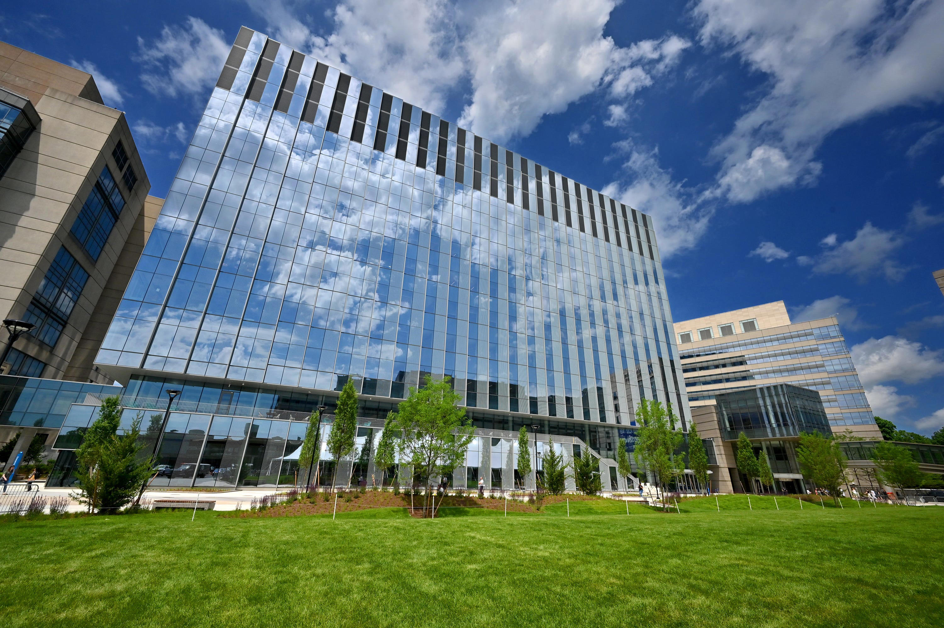 Polito Murray among those named to search committee for new UMass Chan Polito Murray among those named to search committee for new UMass Chan
