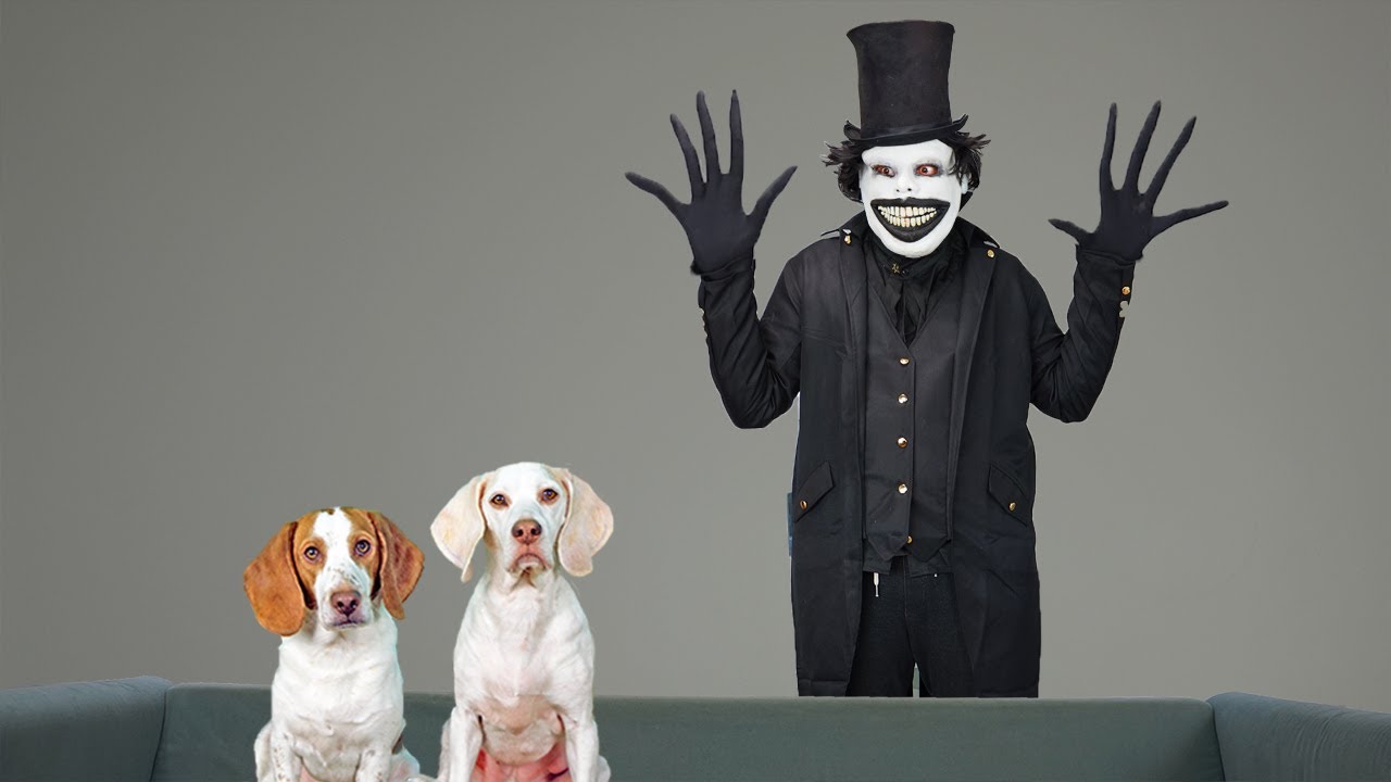 Dogs Vs Babadook Prank: Funny Dogs Maymo & Potpie Get Halloween Scare ...