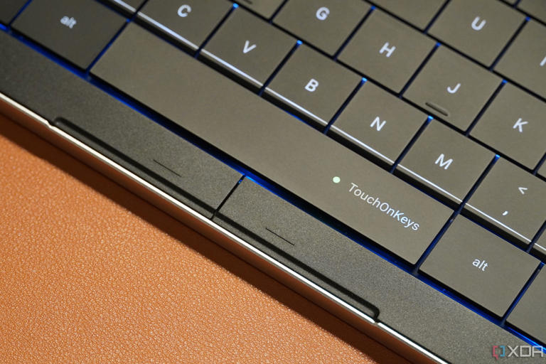 The touchpad buttons at the bottom of the keyboard.