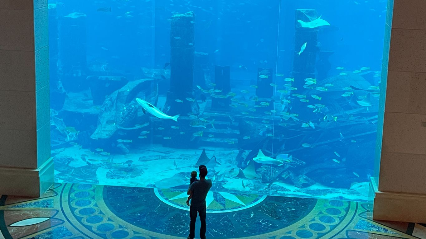 Guests of all ages can’t help but gaze in wonder at the Ambassador Lagoon, one of the 10 largest aquariums in the world. At the resort’s Lost Chambers Aquarium (daily access included in the hotel rate), visitors can learn more about the 65,000-plus marine animals that live at Atlantis, The Palm. Those who want to dive right in can book such immersive adventures as AquaTrek Xtreme—venturing to the aquarium’s bottom wearing a high-tech helmet.