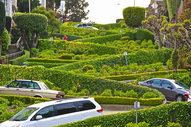 <p>Crooked, winding Lombard Street (situated among San Francisco's many hills) is one of the steepest streets in the world for regular traffic.</p>