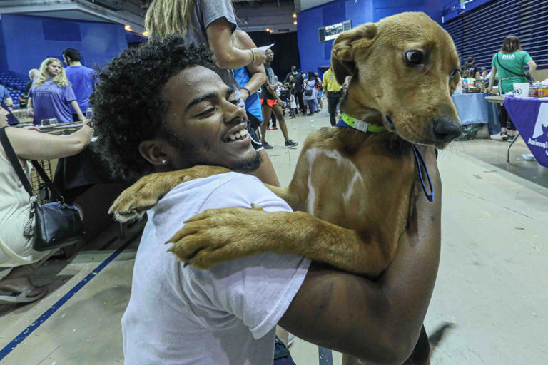 Qamar Muhammed adopted a 6-month-old mixed breed during the Brandywine Valley SPCA's sixth annual Mega Adoption event Saturday, June 29, 2019, at the Bob Carpenter Center in Newark.