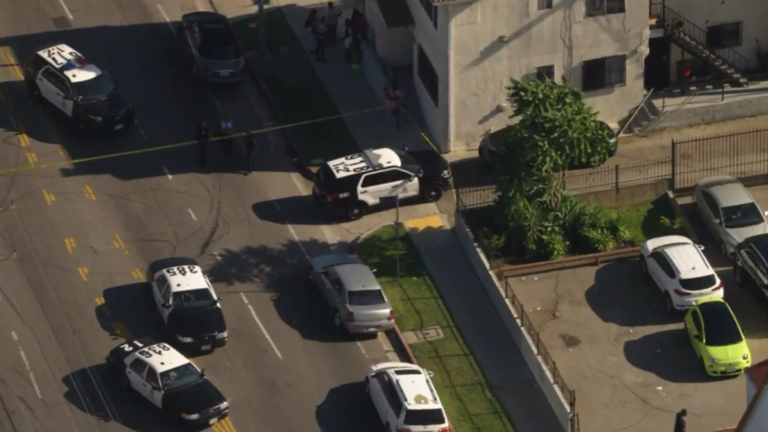 1 hospitalized after shooting in South LA