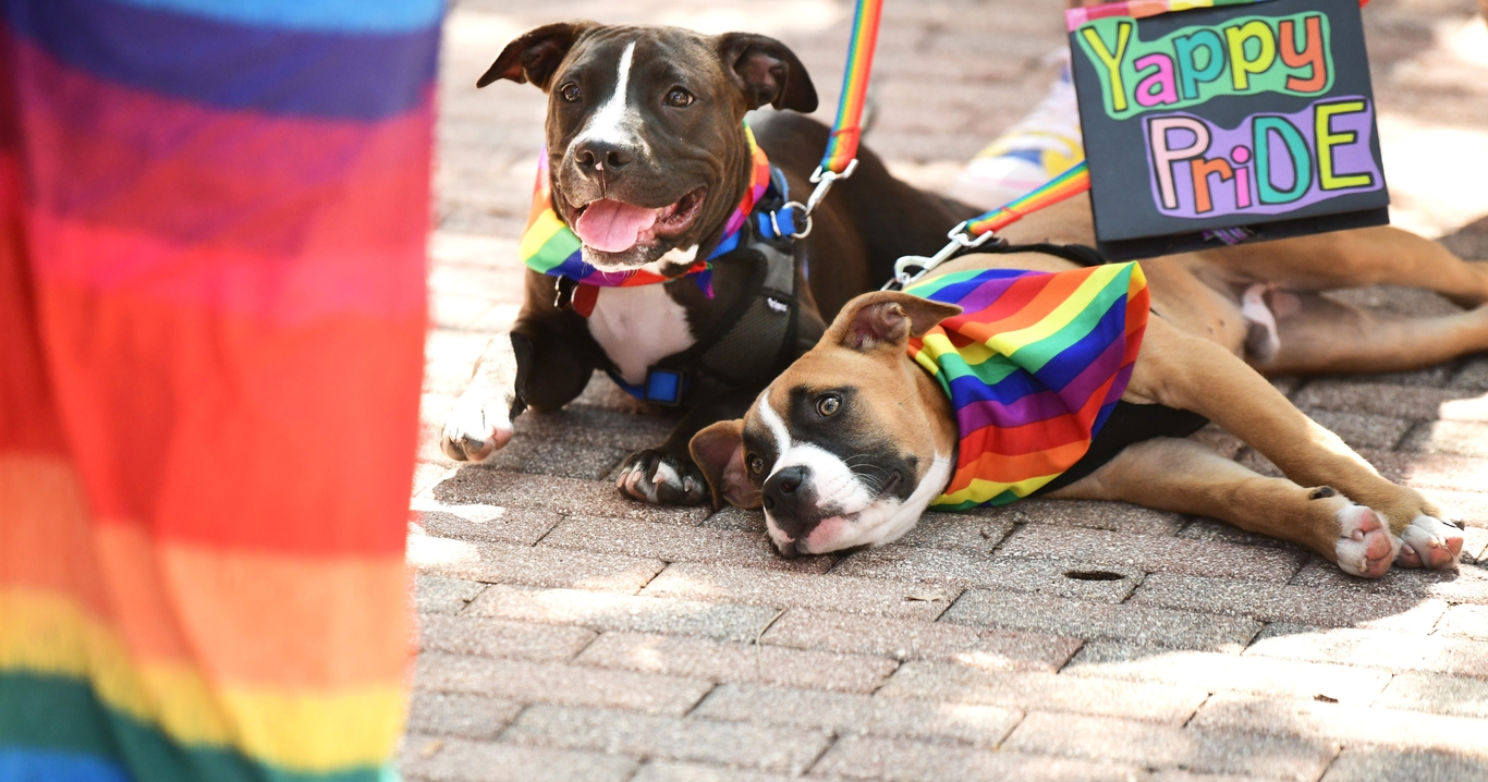 Pride Celebration In Cocoa Village Holds Moment Of Remembrance For ...