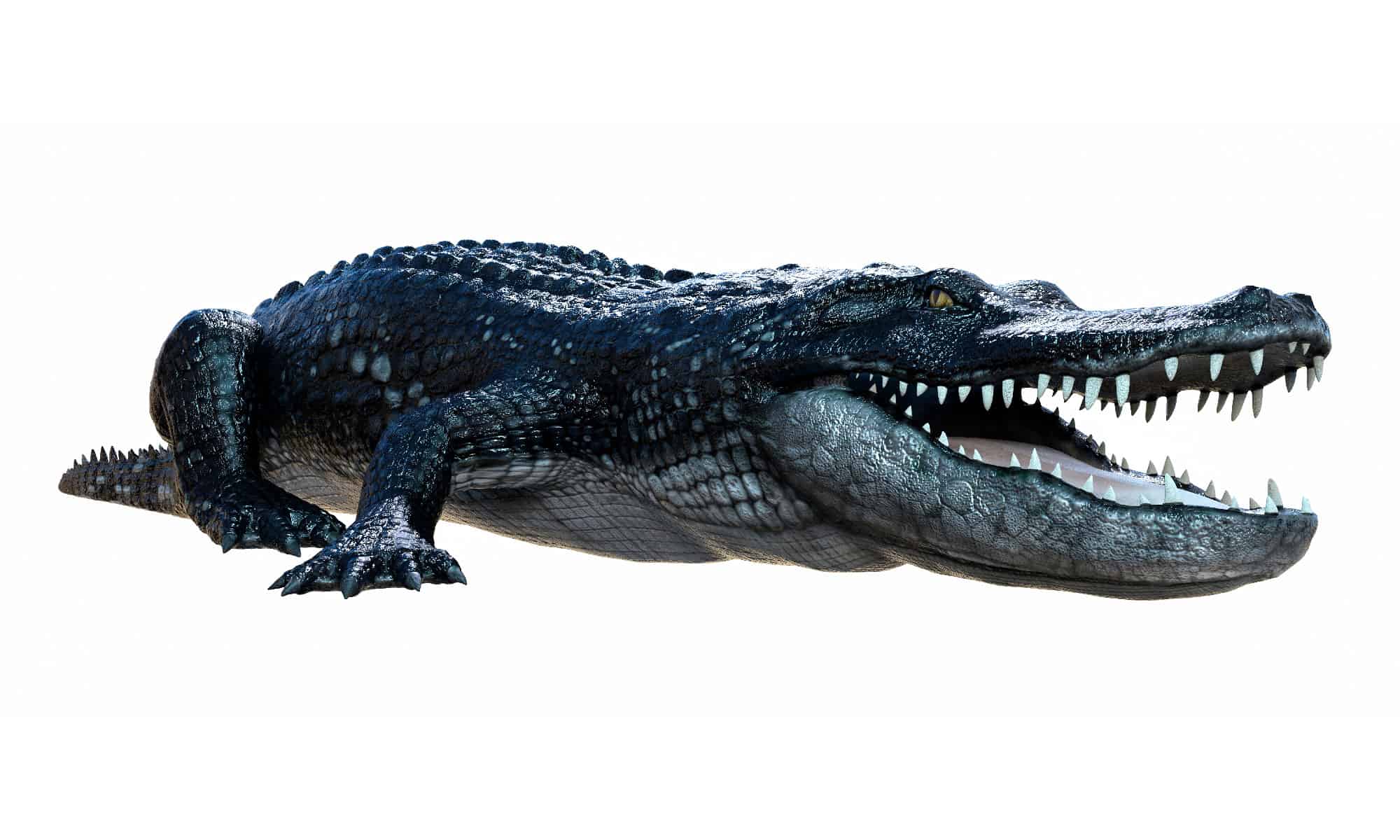 9 Ancient Dinosaurs That Were Like Giant Alligators