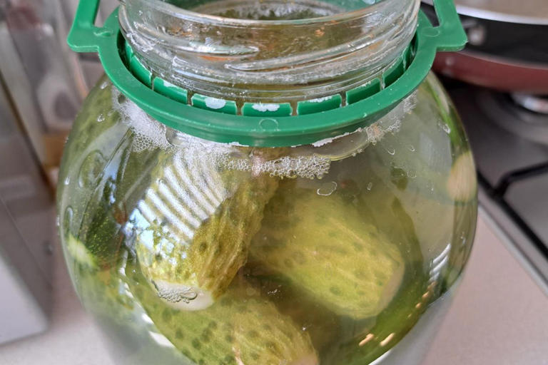 How to make perfect half-sour pickles every time