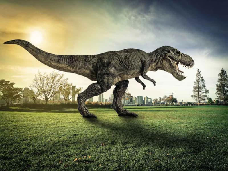 trois jeunes américains découvrent un fossile de jeune tyrannosaure, une découverte extrêmement rare