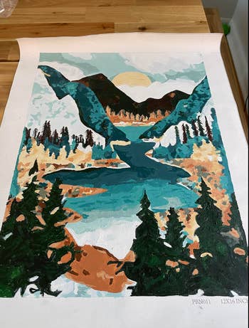 reviewer image of a completed mountainscape