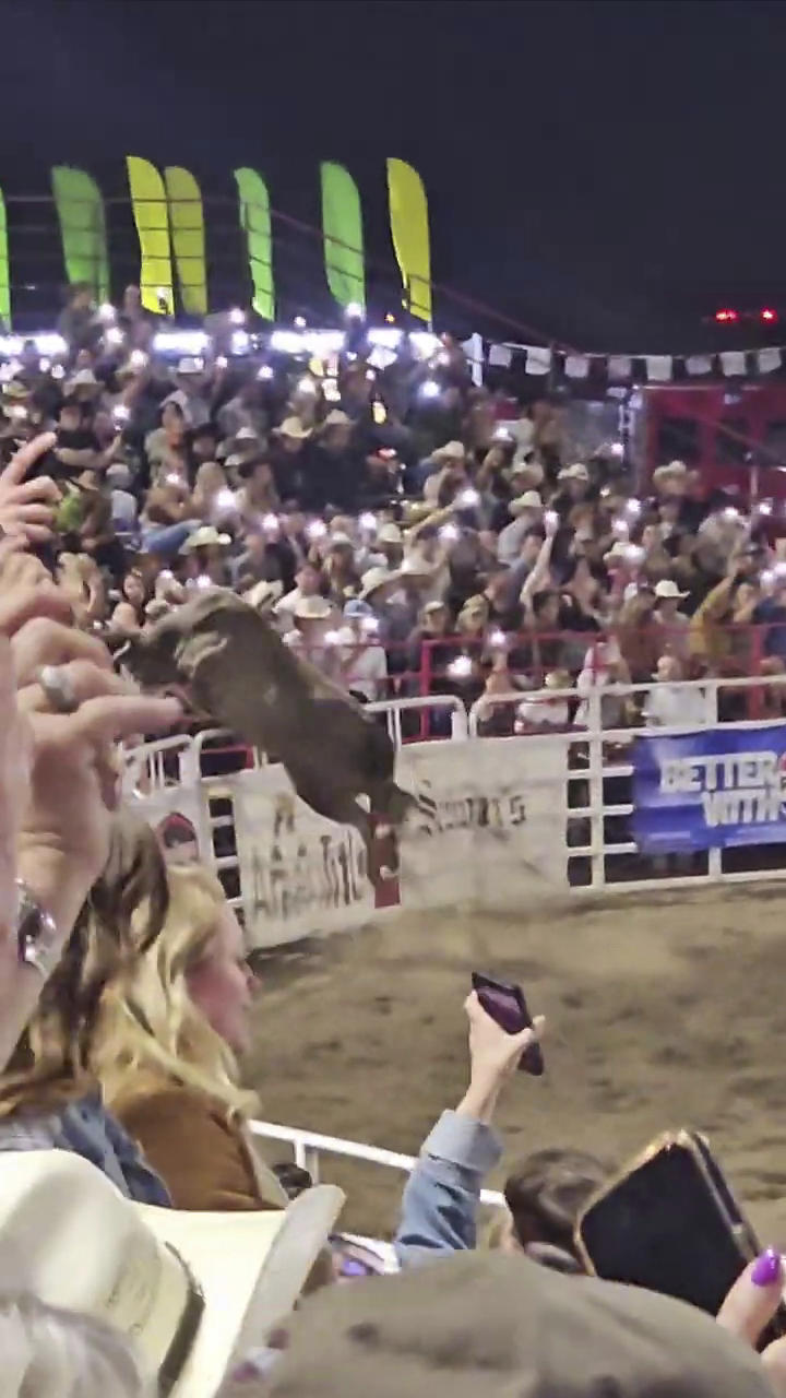 Rodeo bull named Party Bus escapes Oregon arena, tosses woman in red as  crowd runs for their lives: video