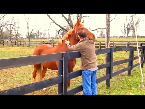 25 most heartwarming reunions between pets and owners