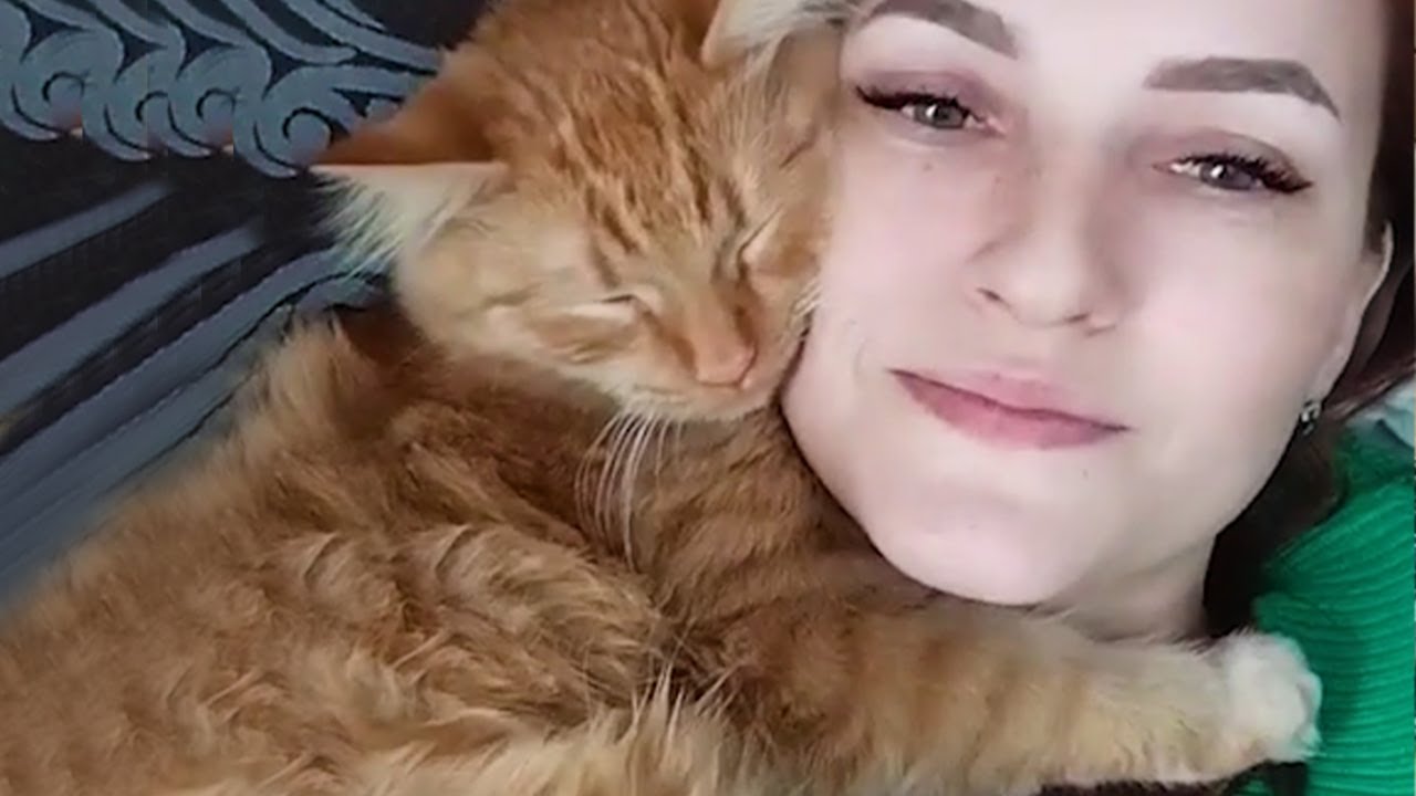 Kitten Rescue Story Will Restore Your Faith in Pets