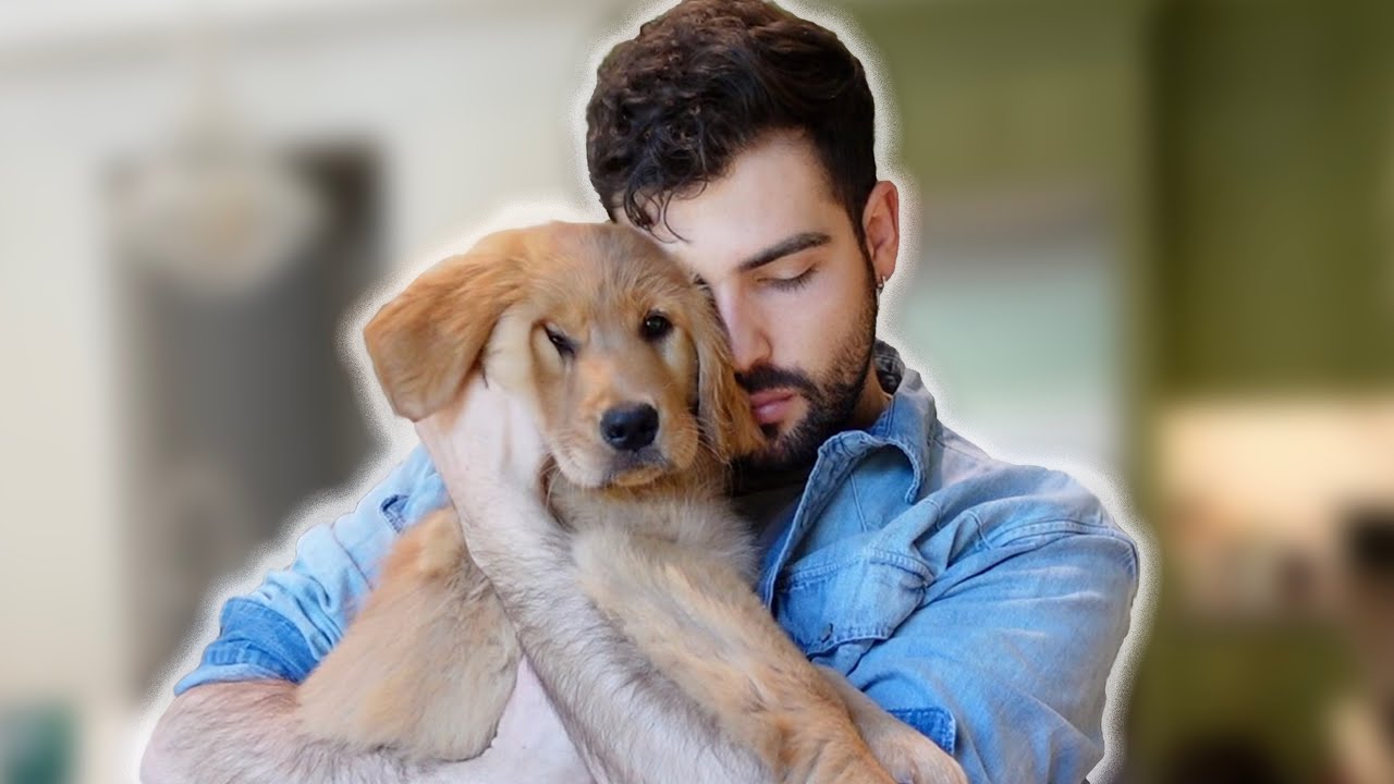 The Truth About the Last Puppy—Shocking Discovery