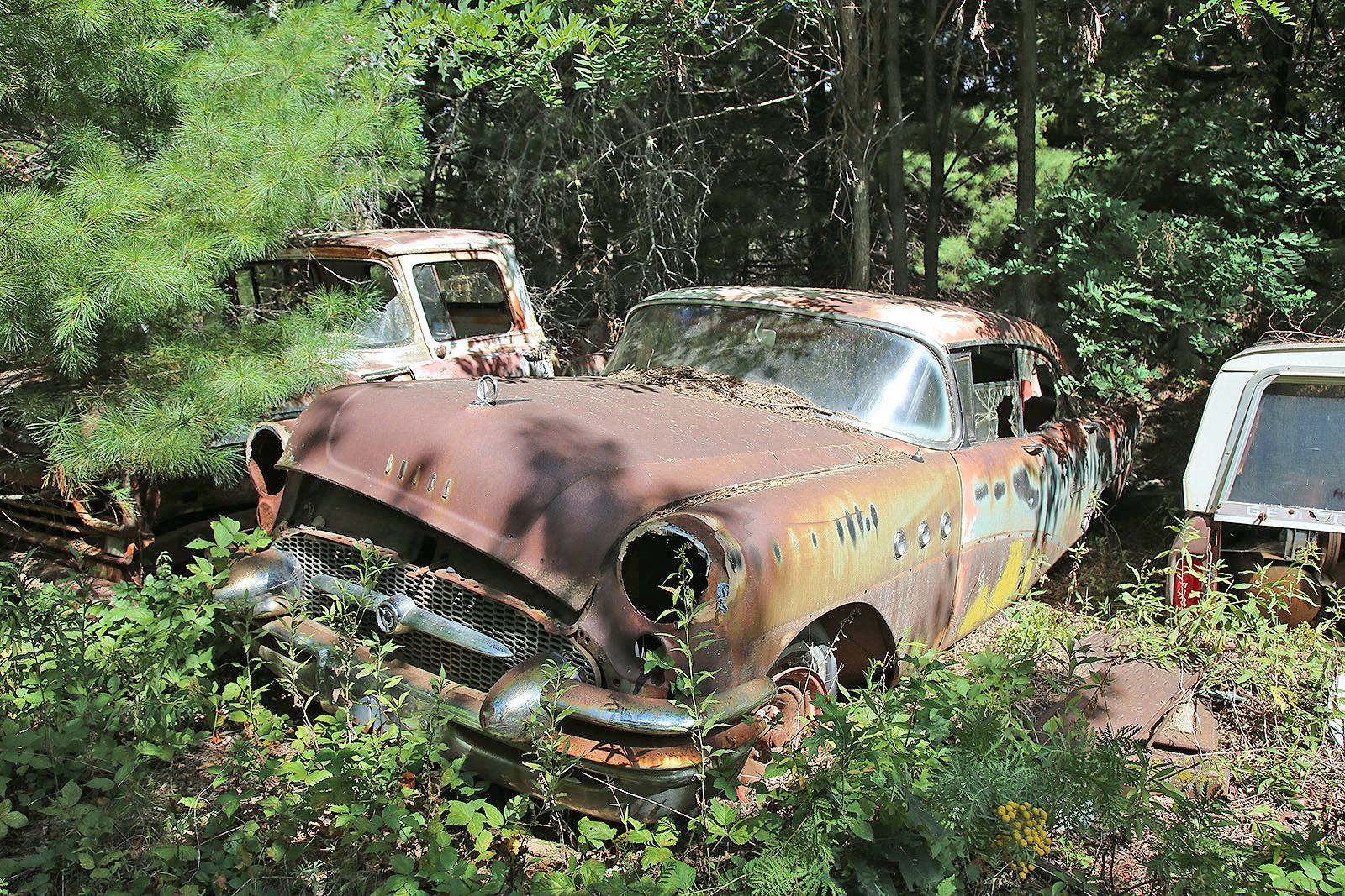 Strange, Obscure & Often Forgotten Badge-engineered Cars