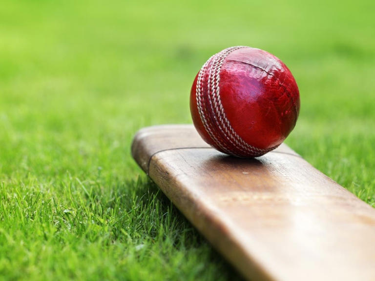 NICE Bus is offering round-trip shuttle service for the World Cup cricket matches at Eisenhower Park.