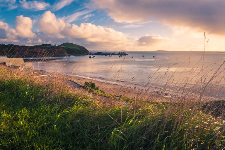 Wild, rugged and filled with friendly locals and scrumptious seafood, the Chatham Islands are a worthy bucket-list destination for Kiwis. Photo / Juliette Silversten