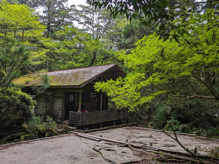 Hiking Yakushima, Japan: forests, monkeys and mountains on island that ...