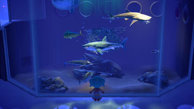 Animal Crossing’s aquarium experience is going on tour — here’s how it works