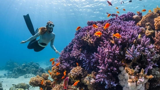 5 best diving sites that every scuba diver must visit