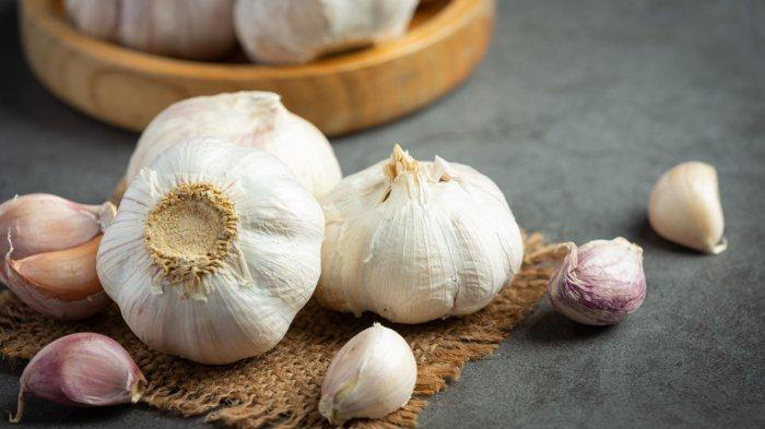 catat ini 10 khasiat bawang putih bagi tubuh,bisa bantu atasi berbagai penyakit