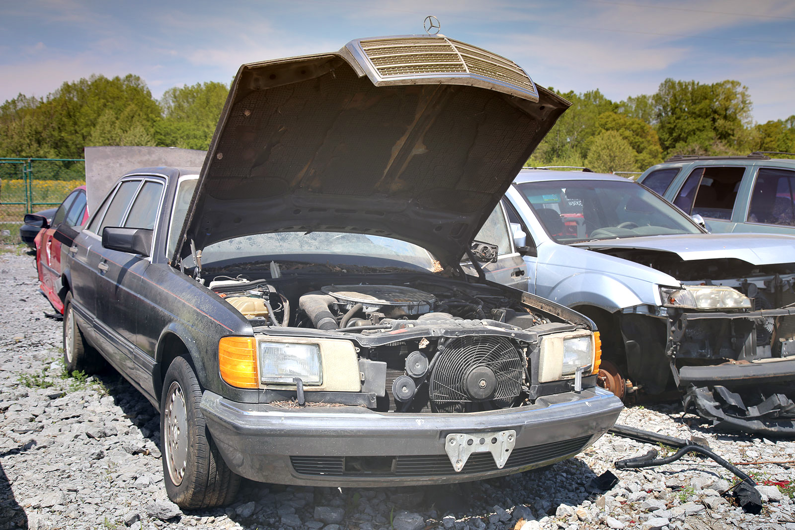 Interesting Junkyard Finds from Ivy Bluff Auto Salvage, Morrison, Tennessee