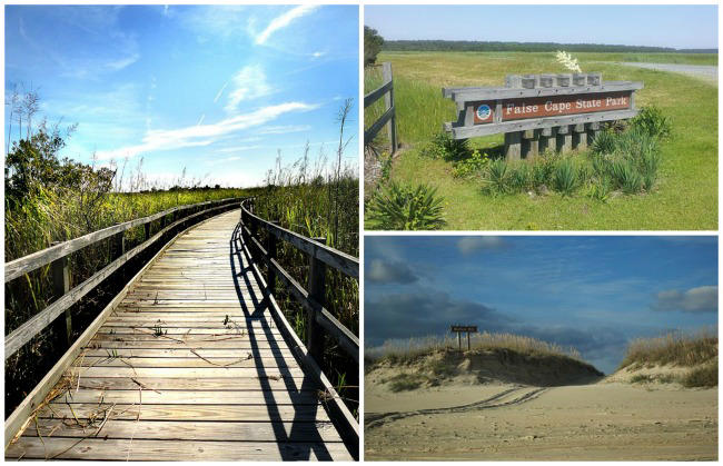 Guided tram tour to be held at Back Bay National Wildlife Refuge, False Cape State Park
