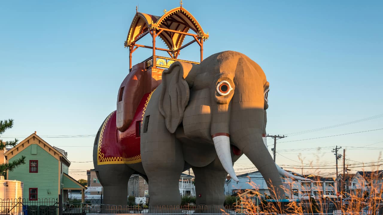 <p>Not every day, you see a giant elephant while driving to the shore. Hailed as the “World’s Greatest Elephant,” Lucy The Elephant is a six-story elephant <a href="https://lucytheelephant.org/" rel="noopener">on a beach</a> in Margate, New Jersey.</p><p>She was built out of wood and clad in 1882 by James V. Lafferty to attract potential real estate buyers to Margate. The Elephant quickly became a popular tourist attraction and is now a National Historic Landmark. </p>