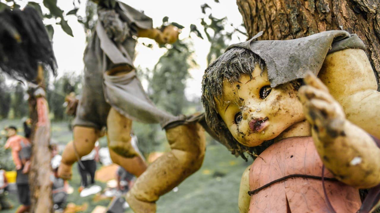 <p><span>This island is adorned with thousands of old and decaying dolls, hung in trees and buildings by a hermit who believed they ward off evil spirits. The dolls’ unsettling appearance heightens the ghostly atmosphere. </span></p><p><span>The <a href="https://isladelasmunecas.com/" rel="nofollow noopener">Island of the Dolls</a> sees more visitors during the dry season from November to April when the weather in Mexico is more tolerable. </span></p>