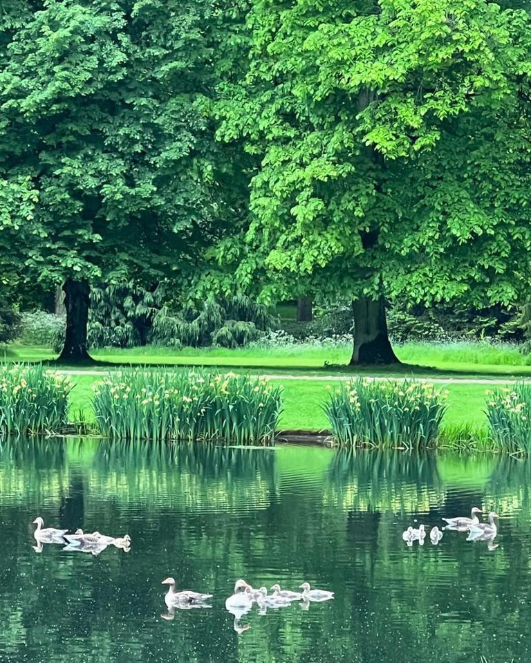 Charles Spencer shares 'beautiful' glimpse of Princess Diana's final ...