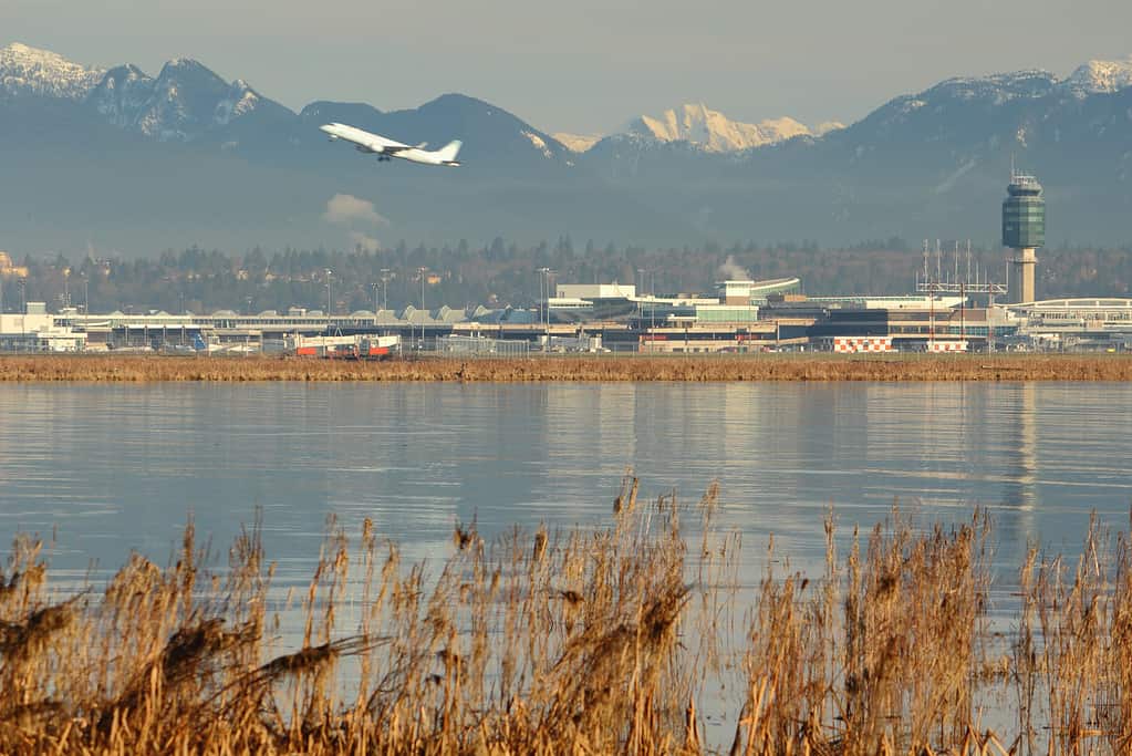 <p>Vancouver International Airport is a bustling gateway to the beautiful West Coast and Canada's second-busiest airport! With its stunning architecture and welcoming atmosphere, YVR brings together an eclectic mix of flights and passengers from all corners of the globe. So let's explore the captivating details that make this airport a hotspot for air travel.</p><p>Remember to scroll up and hit the ‘Follow’ button to keep up with the newest stories from Seattle Travel on your Microsoft Start feed or MSN homepage!</p>