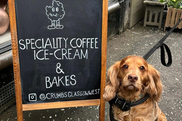 New dog-friendly Glasgow spot serving homemade bakes and artisan ice ...