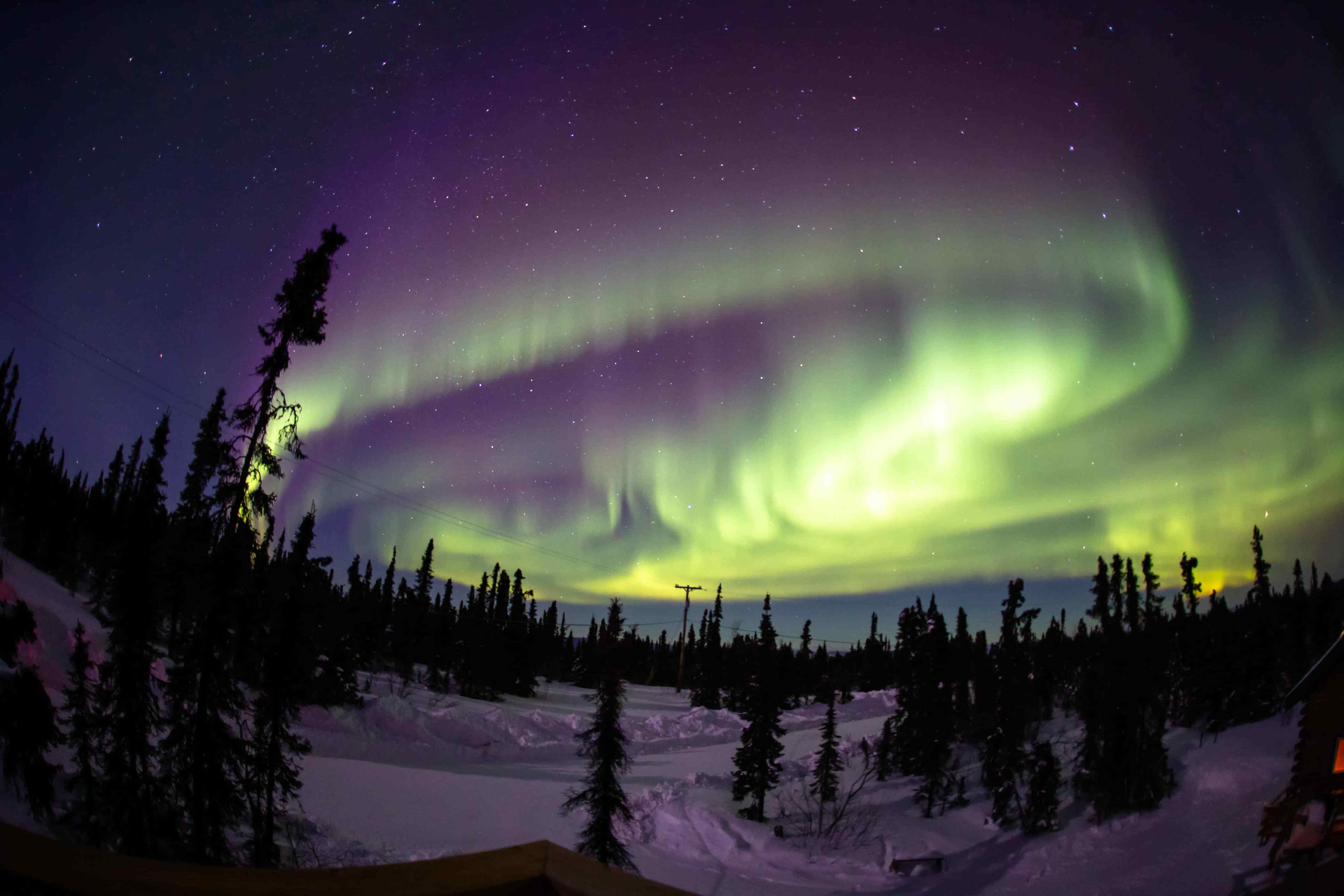 <p>The United States is probably not the first place that comes to mind when trying to figure out where to go to see the northern lights, but maybe it should be! Although sightings are possible in some midwestern states, <a rel="noopener" href="https://a-z-animals.com/blog/discover-how-alaskans-deal-with-40-days-of-night-and-sunlight/?utm_campaign=feed&utm_source=rss_feed&utm_medium=in_content&utm_content=1360267">Alaska</a> is the only place in the United States that is truly renowned for excellent aurora borealis viewing opportunities. More specifically, Fairbanks has been singled out as one of the best places to see the northern lights in 2024! </p><p>Sharks, lions, alligators, and more! Don’t miss today’s latest and most exciting animal news. <strong><a href="https://www.msn.com/en-us/channel/source/AZ%20Animals%20US/sr-vid-7etr9q8xun6k6508c3nufaum0de3dqktiq6h27ddeagnfug30wka">Click here to access the A-Z Animals profile page</a> and be sure to hit the <em>Follow</em> button here or at the top of this article!</strong></p> <p>Have feedback? Add a comment below!</p>