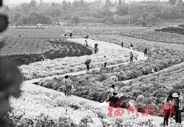 福清市三福郊野公园 预计6月动工