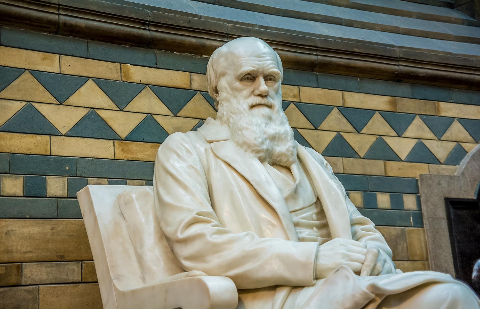 <p>English naturalist Charles Darwin’s voyages around the world have become some of the most famous. His study of animals and birds would later form his theory of evolution and literary masterpiece, <em>On the Origin of Species</em>.  </p>