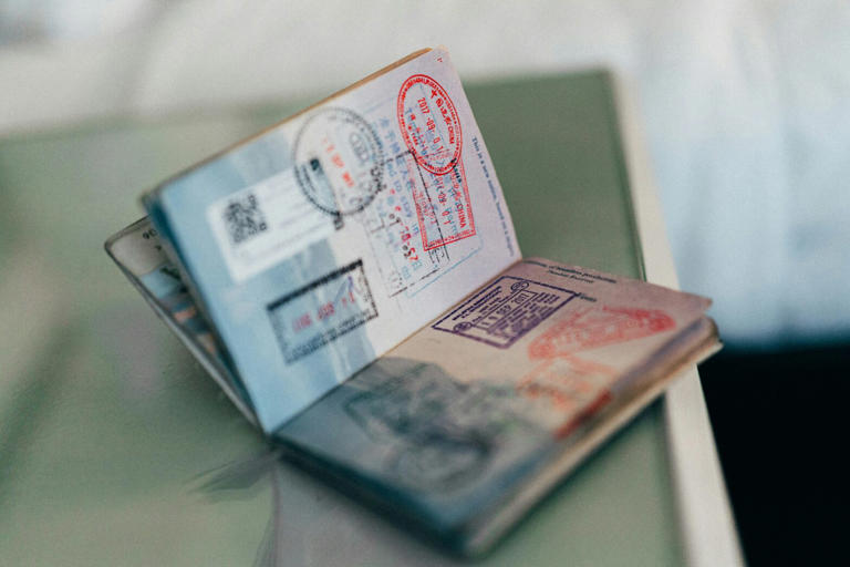 passport open with stamps on the page