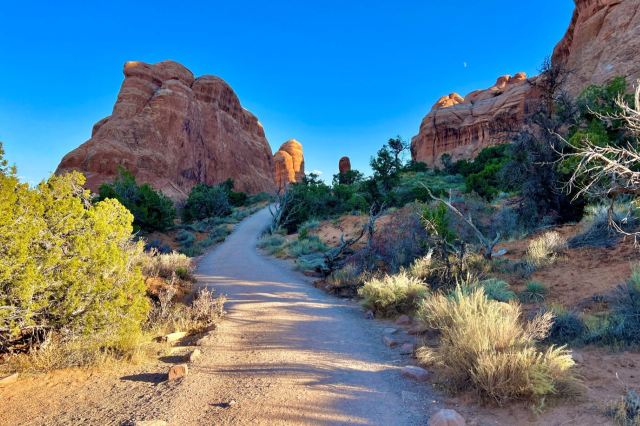 Parkgoer Shares Photo Of Other Visitors Ignoring Warning Signs At ...