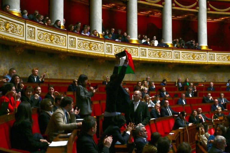 Le député LFI Sébastien Delogu brandit un drapeau palestinien dans l'hémicycle de l'Assemblée nationale, le 28 mai 2024 à Paris