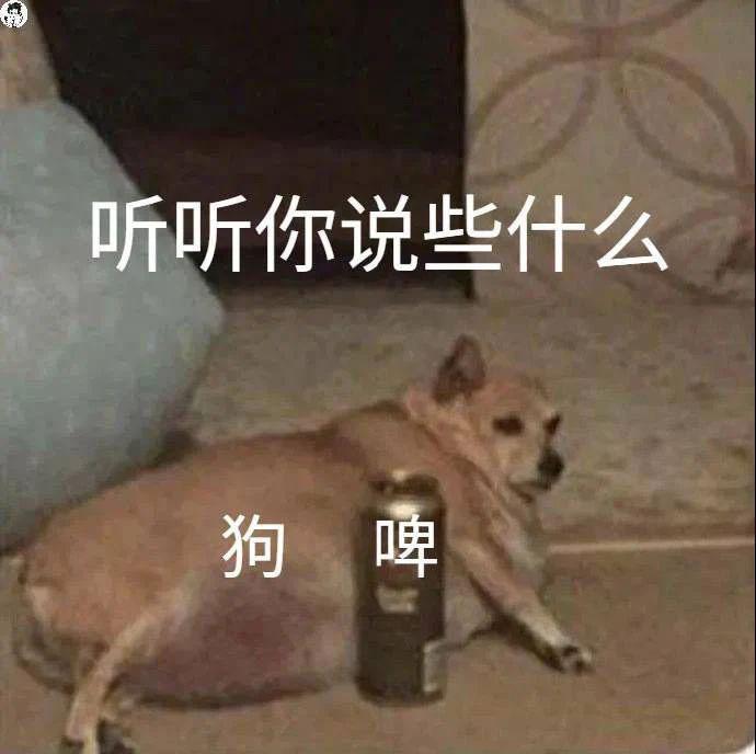 巴黎奥运会干脆找陈鲁豫主持吧