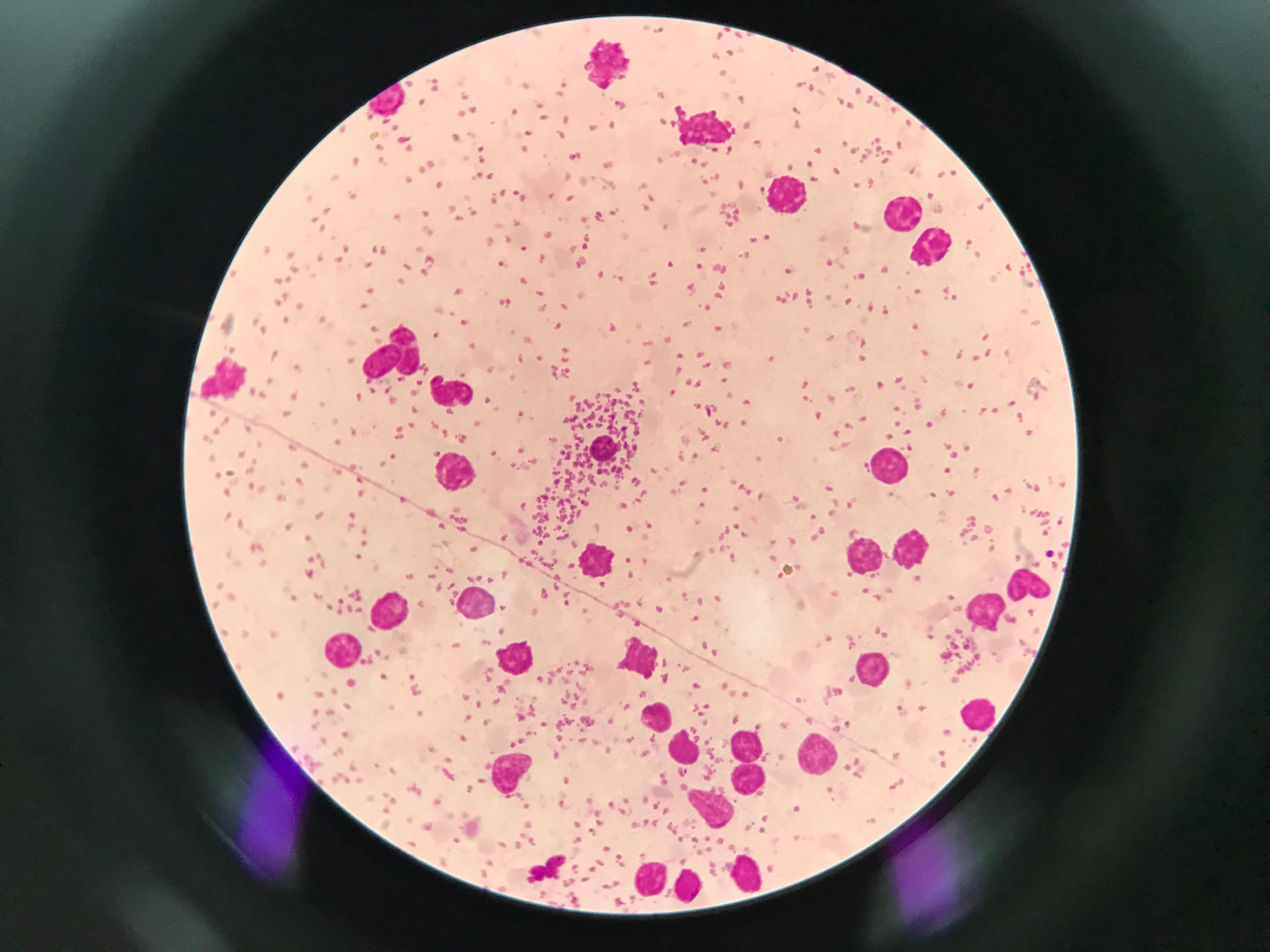 Die größten Mythen über den Weltraum