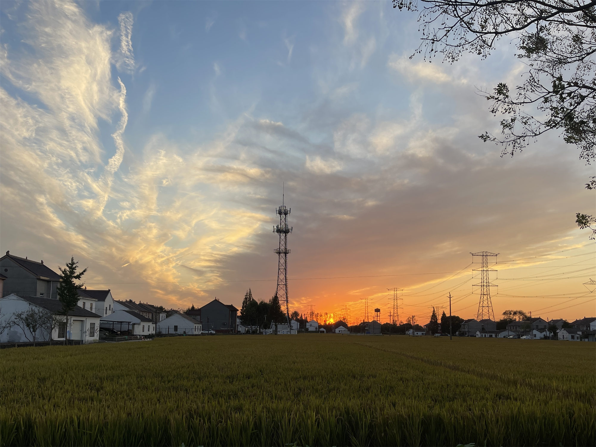 嘉善陶庄：翔胜落日