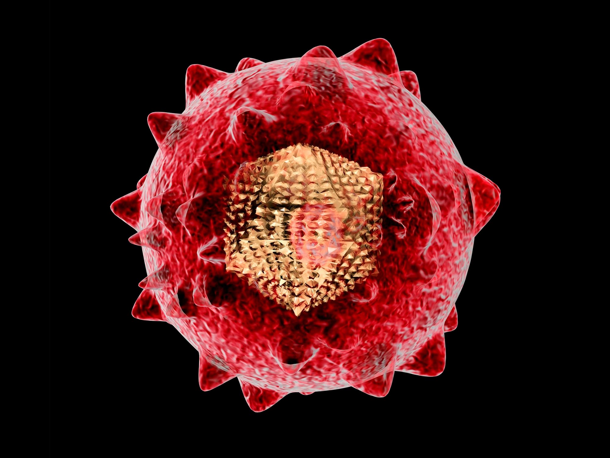 科学家可能发现了乙型肝炎病毒（HBV）的致命弱点