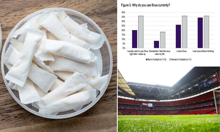 One in five footballers use snus linked to cancer and heart disease