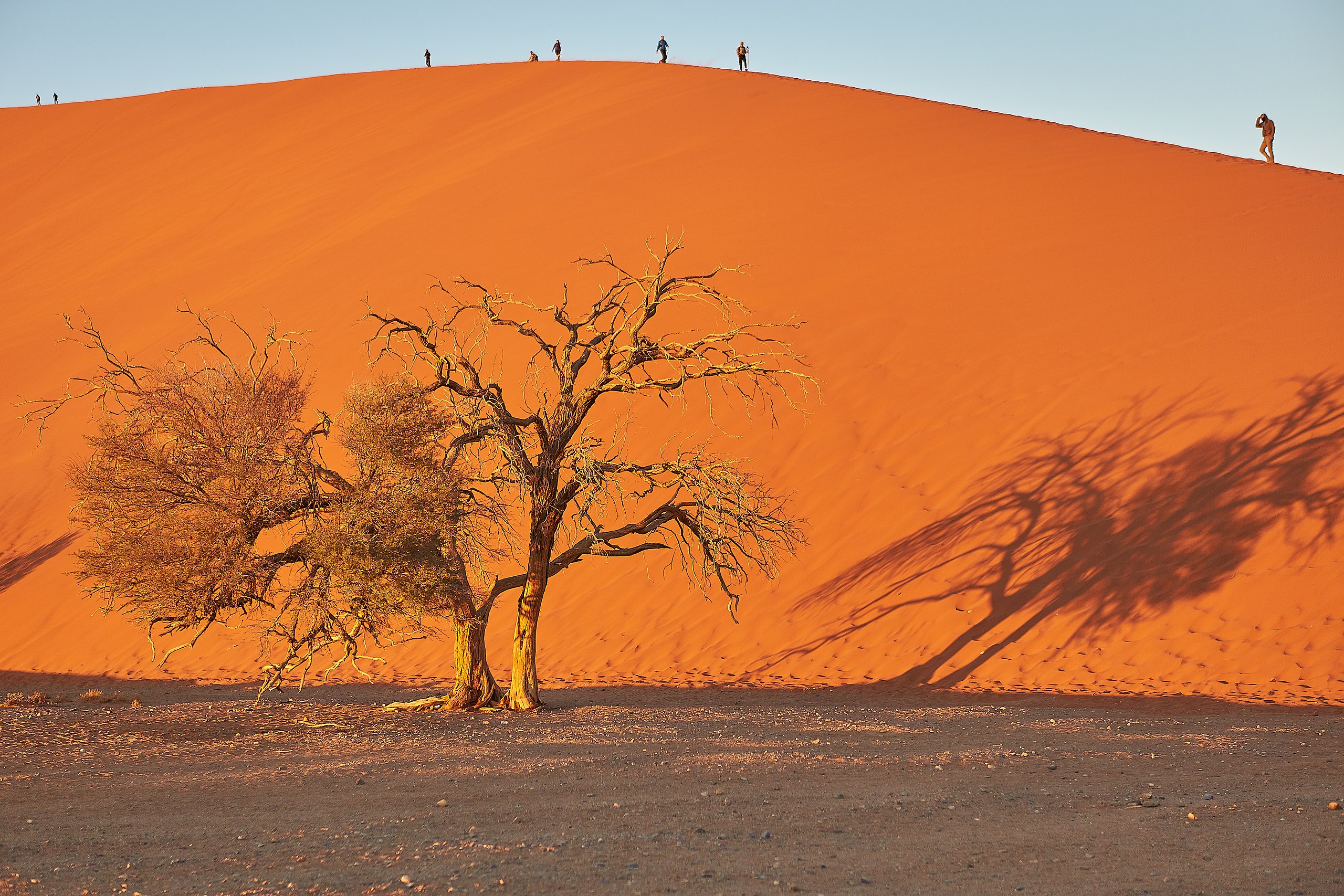 <p>The stark desert of Sossusvlei, Namibia looks like something from another world—and you can enjoy it from some of the finest luxury lodges in Africa.</p>