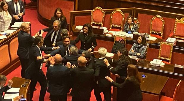 Senato, Rissa Sfiorata Durante La Seduta Sul Premierato. Le Opposizioni ...