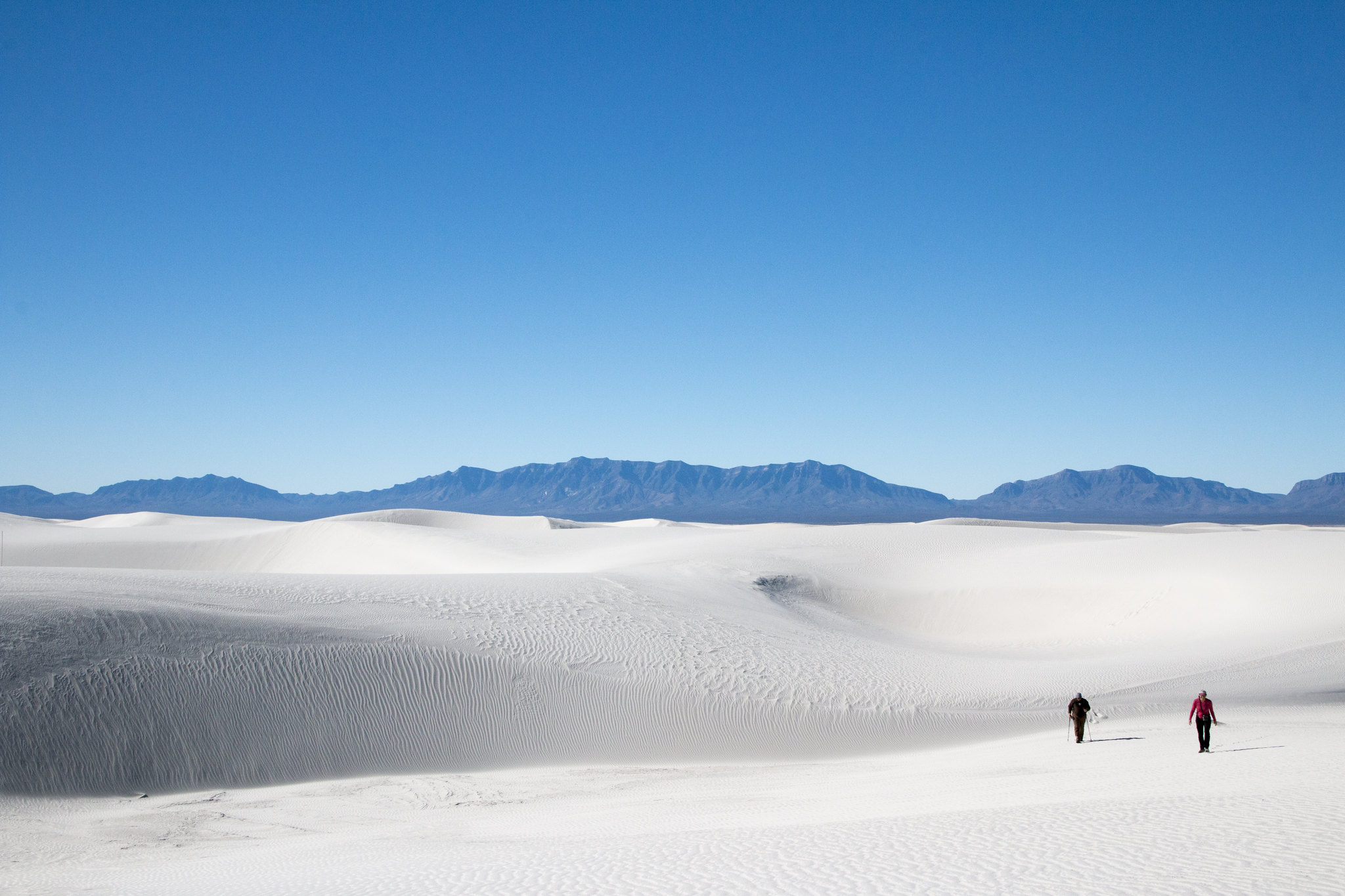 <p>White Sands Desert is well-named. The rolling, bone-white dunes are composed of the regions unique gypsum crystals, giving them their unique color.</p>