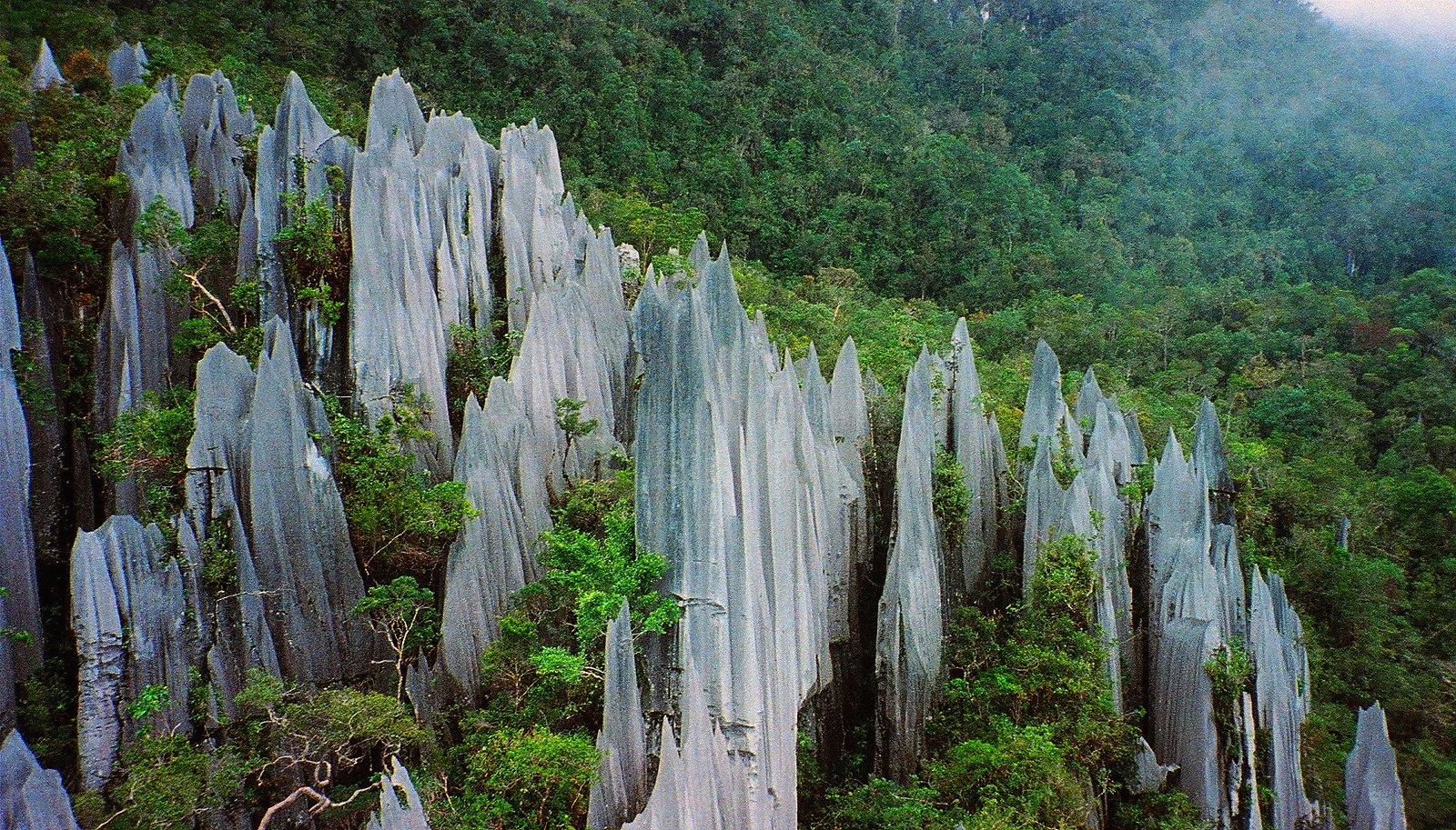 <p>If you can brave the trip to the remote Gunung Mulu National Park in Malaysia, you can enjoy the stunning treetop hikes and enormous caves all by yourself.</p>