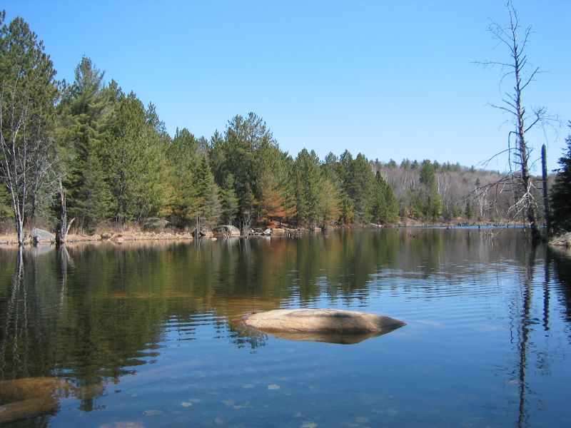 <p>Just a couple hours north of the metropolis of Toronto, Ontario the natural beauty of Algonquin Park is unparalleled. Paddle around lakes right off the road—or portage your canoe deeper into the park and find true solitude.</p>