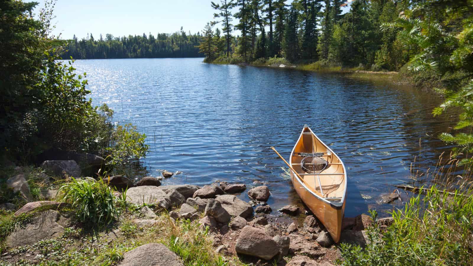 <p>If you’re looking for a unique kayaking experience, you can’t go wrong with the Boundary Waters Canoe Area Wilderness in Minnesota. With over 1,100 lakes and 1,500 miles of canoe routes, this vast wilderness area is perfect for multi-day kayaking trips.</p> <p>As you paddle through the crystal clear waters, keep your eyes peeled for the area’s abundant wildlife, including moose and bears. And don’t forget to obtain the necessary permit before embarking on your journey.</p> <p>If you don’t have your own kayak, don’t worry – there are plenty of rental options available in the area. Just be sure to factor in the cost of a rental when planning your trip.</p>