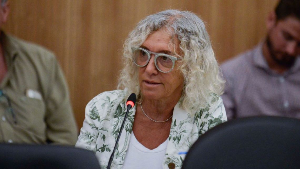 Mónica Frade: "Probablemente hubo corrupción en el cambio de postura de los diputados"