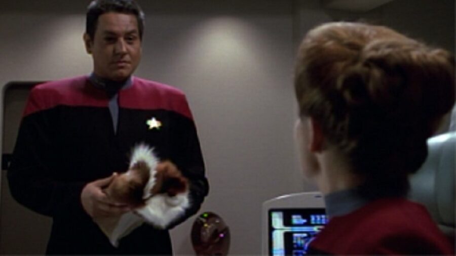 <p>This is when Chakotay decides to tell Janeway in his Native American culture, everybody has their own animal guide (a kind of critter and counselor, all in one), and he volunteers to help her find hers. A remarkably game Janeway agrees, and this leads to a trippy vision quest sequence in which she finds herself on a beach.</p><p>In retrospect, the only thing weirder about this Star Trek scene is that Voyager showrunner Michael Piller inserted some of his own vision quest experience into “The Cloud.”</p>